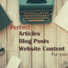 I will write unique SEO articles and content