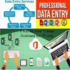 I will do “Data Entry” for only 5$