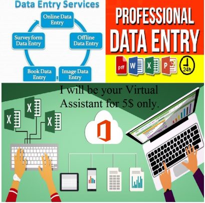 I will do “Data Entry” for only 5$