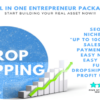 I will create a dropshipping store for you