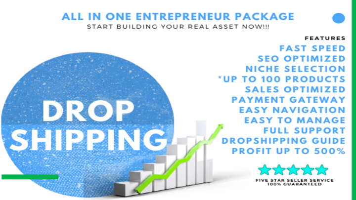 I will create a dropshipping store for you