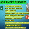 I will do perfect data entry, web research, copy paste, etc.