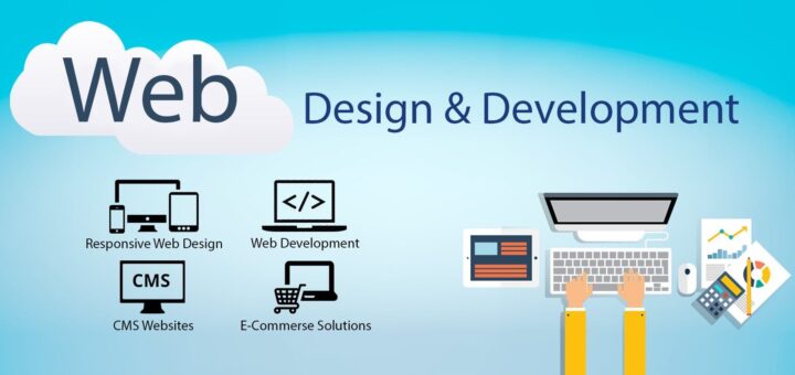 Web Developer & Designer