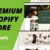 I will build your shopify store professionally