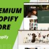 I will build your shopify store professionally