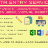 I will do best data entry, copy paste, admin support tasks