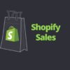 I will grow your shopify store sales using shopping ads