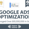 I will optimize your google ads campaign