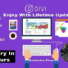 i will install premium divi theme with API key for lifetime updates