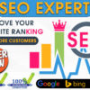 I will deliver a complete monthly SEO service with backlinks