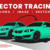 I will perfectly vector trace any logo or image