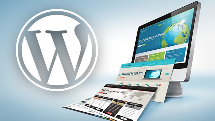 I will create a full wordpress website for you