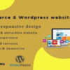 I will build professional wordpress website design or blog