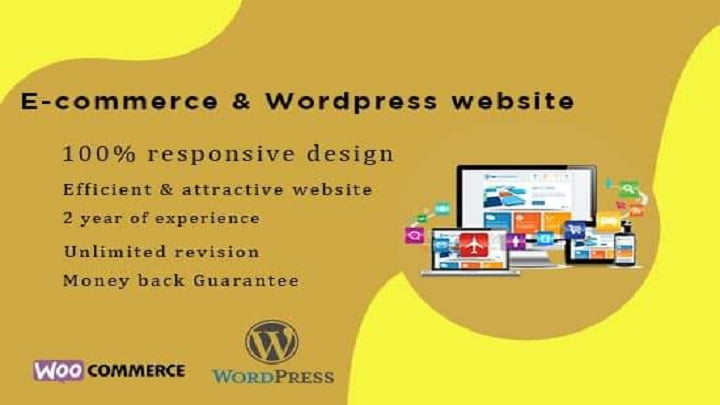 I will build professional wordpress website design or blog
